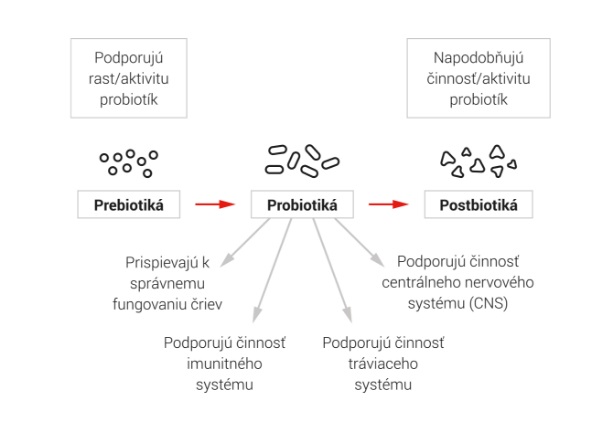 DuoLife ProBactilardii zlozenie